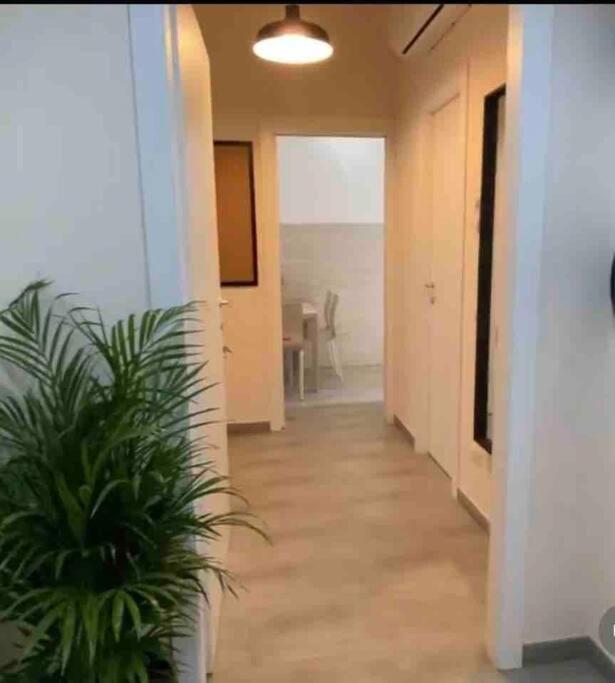 Casa Zia Gina Guest House Nel Centro Di Roma Exteriér fotografie